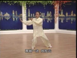Tai Chi 24 forms 1 (3)