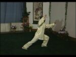 Tai Chi 40 forms 1 (3)