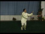 Tai Chi 40 forms 1 (5)