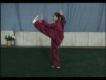 Tai Chi 42 forms 1 (3)