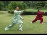 Tai Chi 42 forms 1 (4)