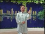 Tai Chi 48 forms (2)
