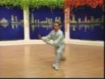 Tai Chi 48 forms (3)