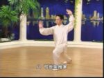 Tai Chi 48 forms (4)