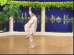 Tai Chi 48 forms (5)