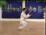 Tai Chi 48 forms (6)