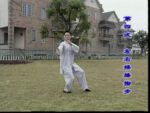 Tai Chi Chuan 24 forms (2)