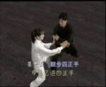 Yan Shi Tai Chi Quan Tui Shou (2)
