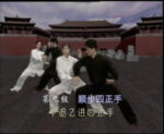 Yan Shi Tai Chi Quan Tui Shou (3)