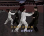 Yan Shi Tai Chi Quan Tui Shou (4)