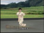 Yan shi Tai Chi Quan. Complex of 32 forms (1)