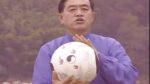 Yang Style House's Royal Taijiquan 4 Tai Chi Ball (VCD) (7)