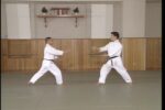 Yoshinkan Aikido The Complete Set of Techniques (7)