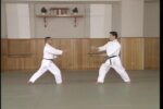 Yoshinkan Aikido The Complete Set of Techniques (8)