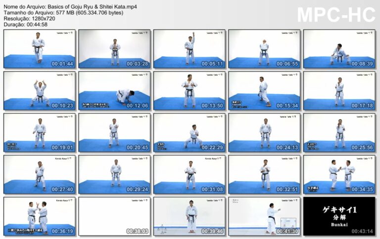 KARATE GOJU RYU BASICS