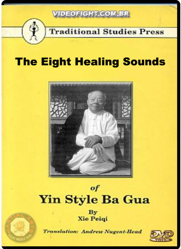 XIE PEIQI - YIN STYLE BAGUA - EIGHT HEALING SOUNDS - VIDEOFIGHT