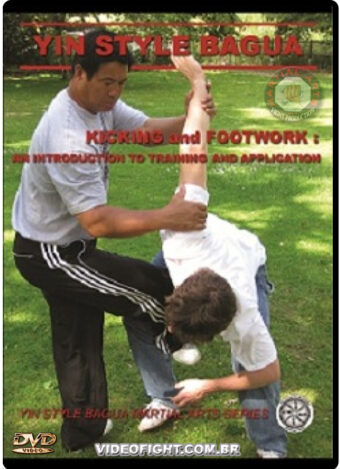 HE JINBAO - YIN STYLE BAGUAZHANG - KICKING AND FOOTWORK