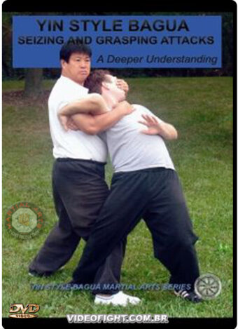 HE JINBAO - YIN STYLE BAGUAZHANG - SEIZING AND GRASPING