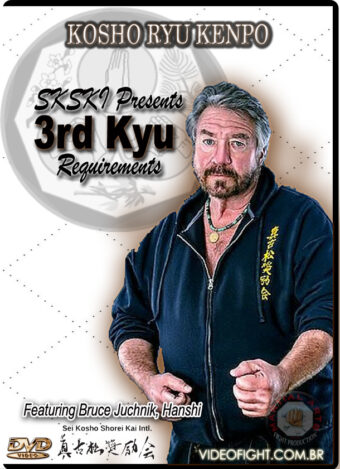 KOSHO RYU KENPO: 3RD KYU BROWN BELT