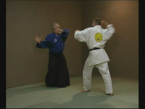 REAL AIKIDO FROM BEGINNER TO THE MASTER (2)