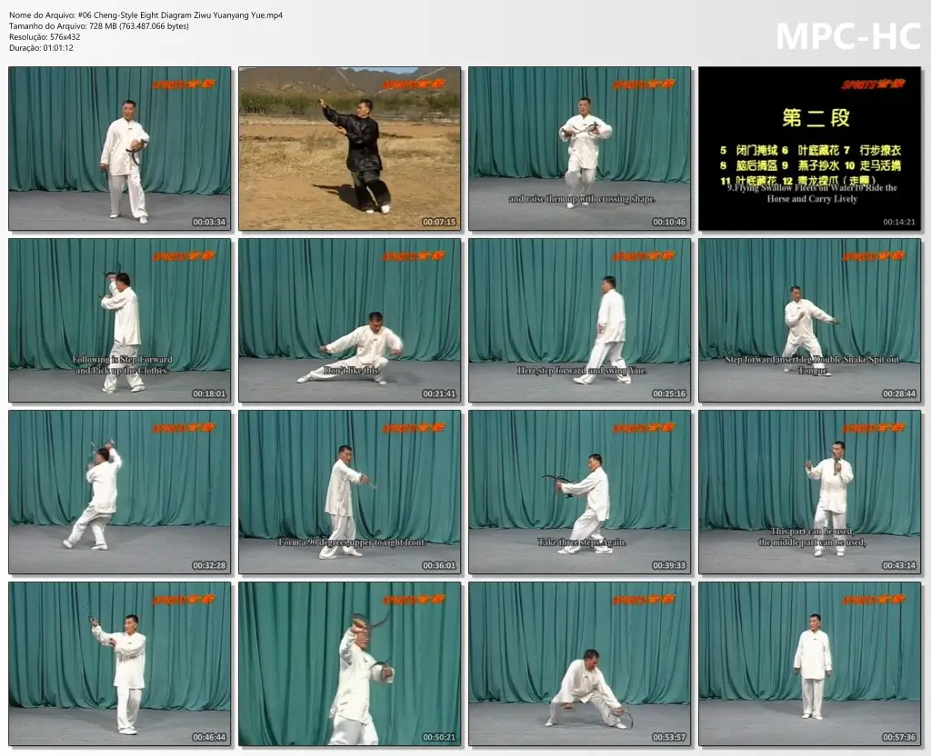 #06 Cheng Style Eight Diagram Ziwu Yuanyang Yue