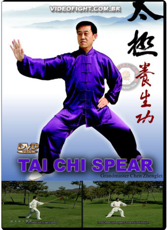 THE CHEN STYLE TAIJIQUAN SPEAR PLAY