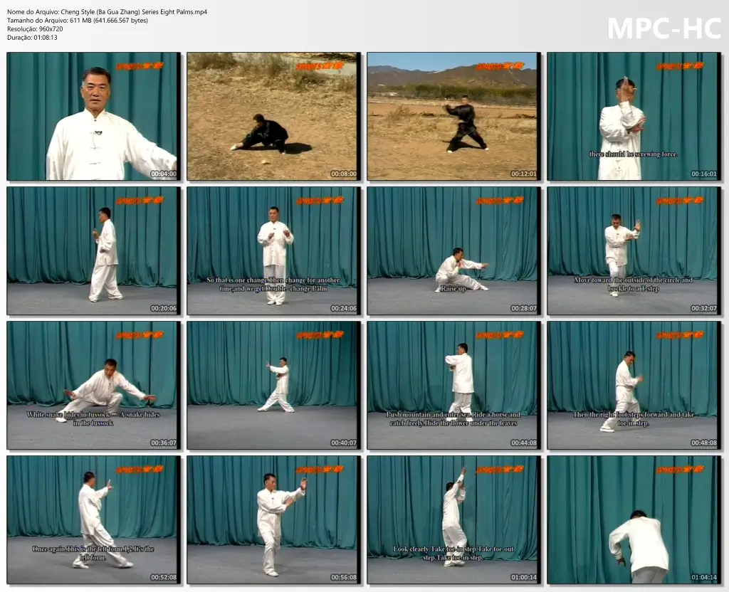 Cheng Style (Ba Gua Zhang) Series Eight Palms.mp4 thumbs