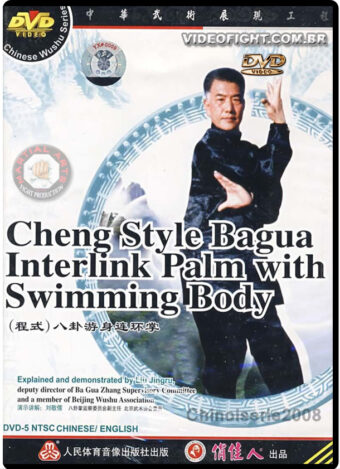 MASTER LIU JING RU - TRADITIONAL CHENG STYLE BAGUA 04