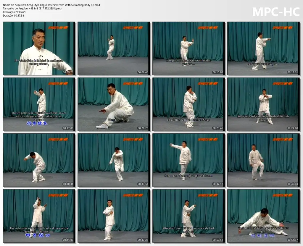 Cheng Style Bagua Interlink Palm With Swimming Body (2).mp4 thumbs
