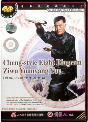 MASTER LIU JING RU - TRADITIONAL CHENG STYLE BAGUA 06