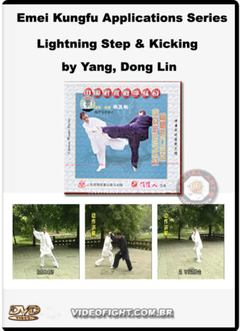 EMEI KUNG FU APPLICATIONS SERIES 2