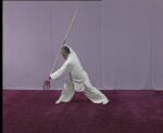 Fighting Body Spear; Bagua Zhang Shen Qiang (3)