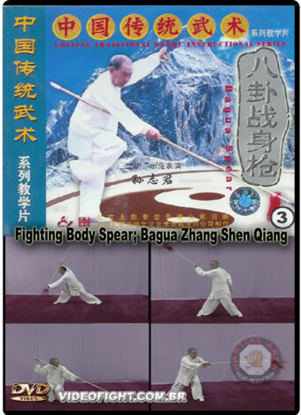 BAGUAZHANG SHENG QIANG - FIGHTING BODY SPEAR