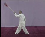 Fighting Body Spear; Bagua Zhang Shen Qiang (5)