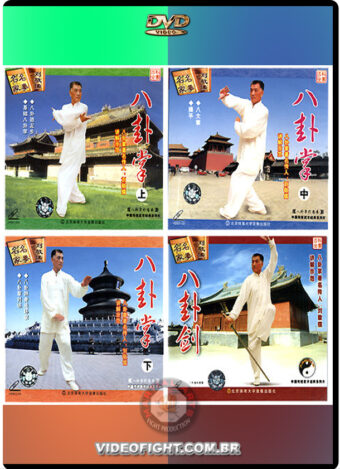 MASTER LIU JING RU - CHEN SHI BAGUAZHANG 04 VOLs