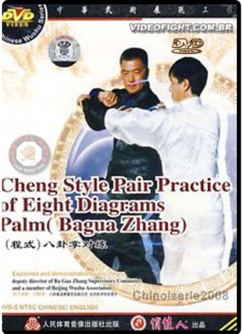MASTER LIU JING RU - TRADITIONAL CHENG STYLE BAGUA 02