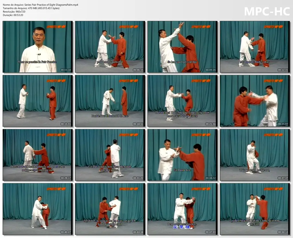 Series Pair Practice of Eight DiagramsPalm.mp4 thumbs