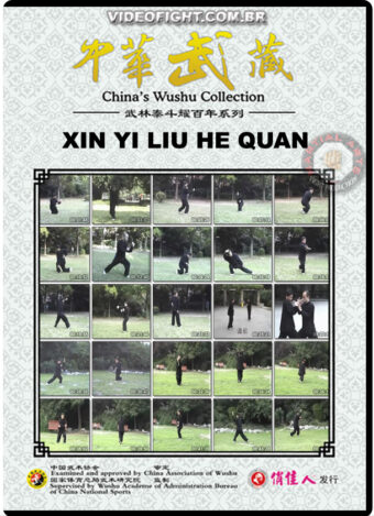 XIN YI LIU HE QUAN