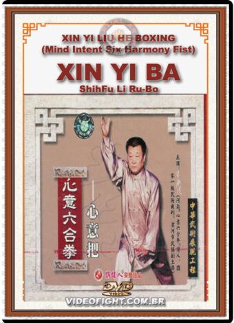XIN YI LIU HE BOXING - XIN YI BA