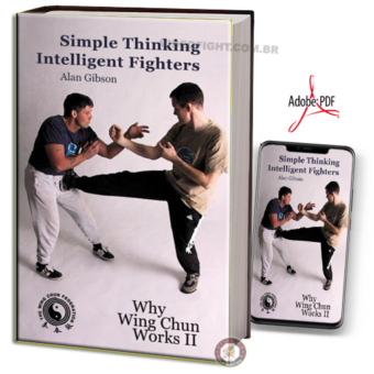 SIMPLE THINKING: INTELLIGENT FIGHTERS EM PDF