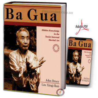 BAGUA: ADVANCED HIDDEN KNOWLEDGE IN THE TAOIST INTERNAL  EM PDF