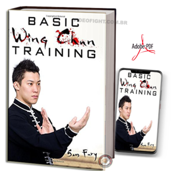 BASIC WING CHUN TRAINING EM PDF