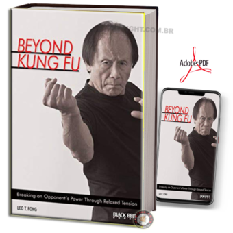 BEYOND KUNG FU EM PDF