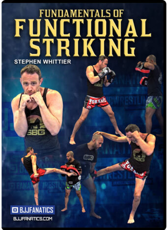 STEPHEN WHITTIER - FUNDAMENTALS OF FUNCTIONAL STRIKING