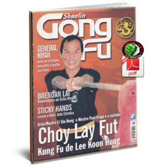 REVISTA SHAOLIN GONG FU Nº2 EM PDF
