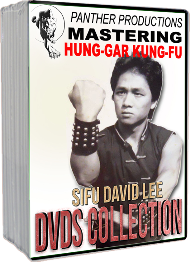 MASTER DAVID LEE - DVDS COLLECTIONS