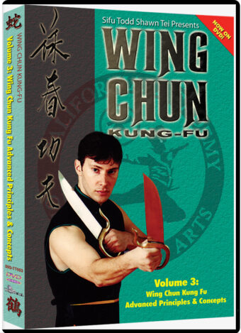 TODD SHAWN TEI - WING CHUN KUNG FU #03