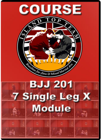 Bjj island top team 201 single leg module