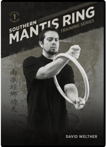 DAVID WELTHER - SOUTHERN MANTIS RING VOL.01