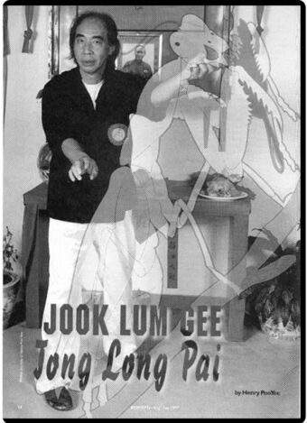 HENRY POO YEE - SOUTHERN PRAYING MANTIS KUNG FU